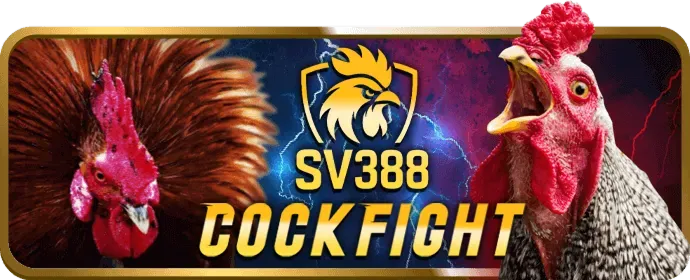 Hoàn trả cược K188